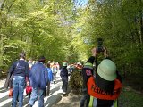Maibaum_2016 (65).JPG